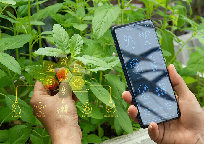 Poisonous Plant Directory Platform