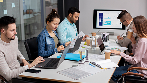 Software Development