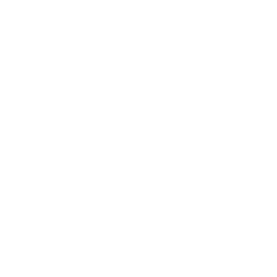 Access & Inclusion