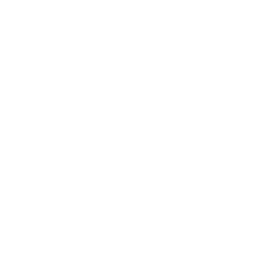 Advanced Analytics & AI Integration