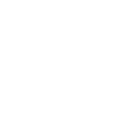 MVP Development