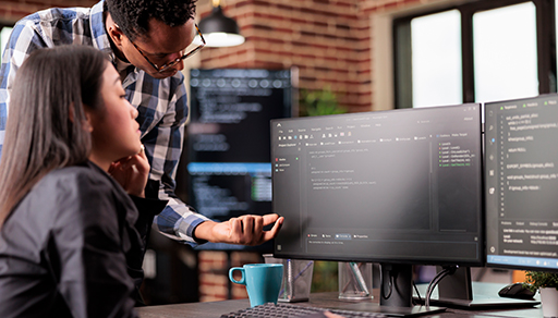 Software Development